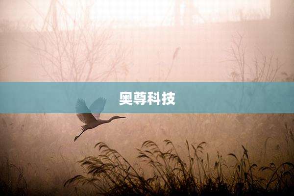 奥尊科技