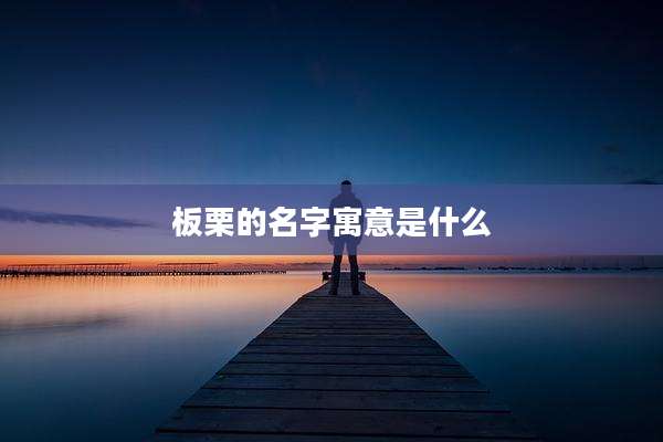 板栗的名字寓意是什么