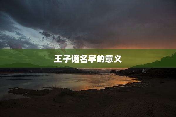 王子诺名字的意义