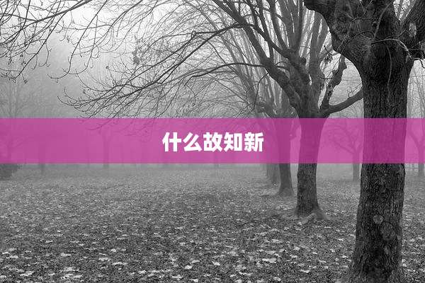 什么故知新