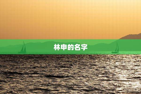 林申的名字