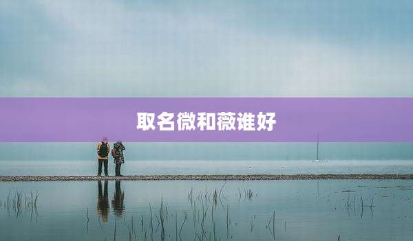 取名微和薇谁好