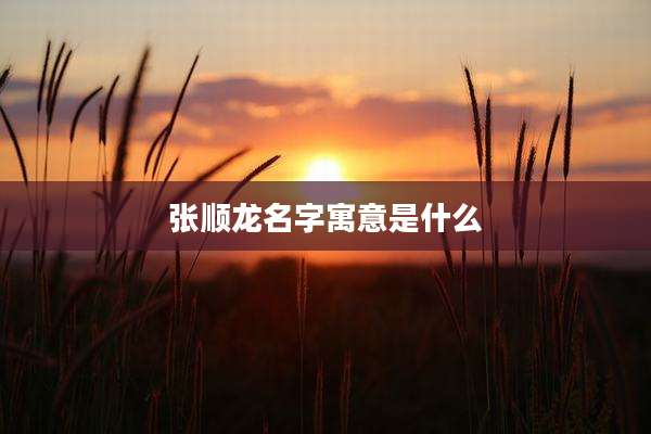 张顺龙名字寓意是什么