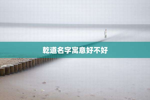 乾道名字寓意好不好