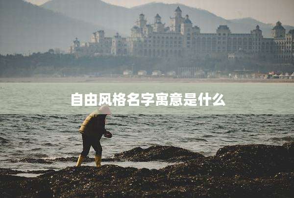 自由风格名字寓意是什么