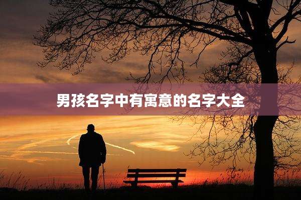 男孩名字中有寓意的名字大全