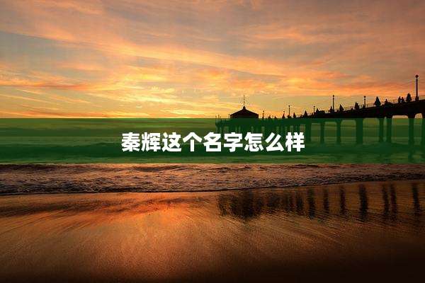 秦辉这个名字怎么样