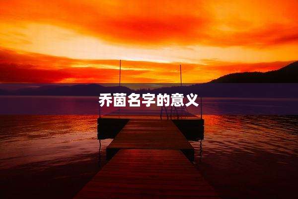 乔茵名字的意义