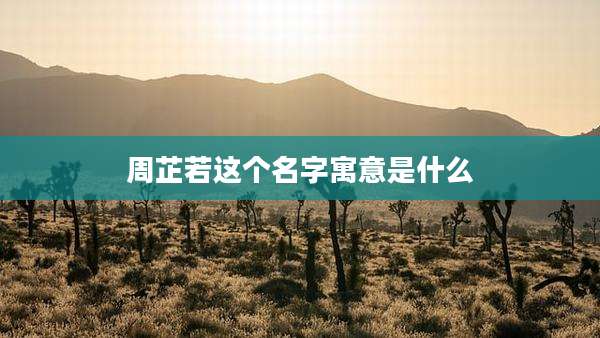 周芷若这个名字寓意是什么