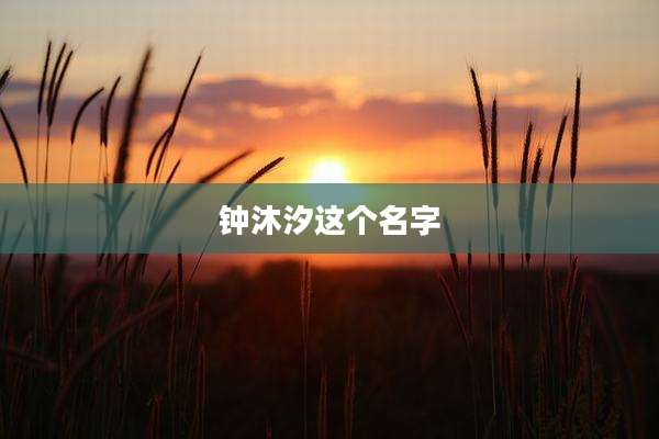 钟沐汐这个名字