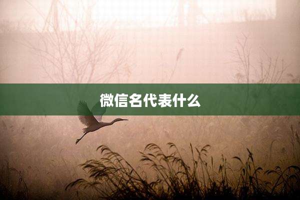 微信名代表什么