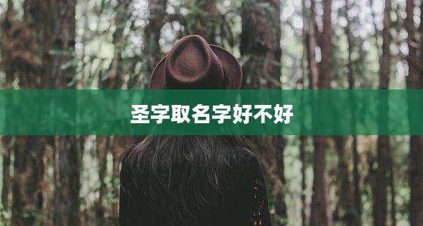 圣字取名字好不好