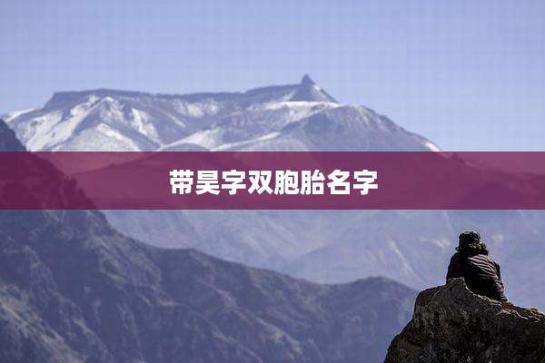 带昊字双胞胎名字