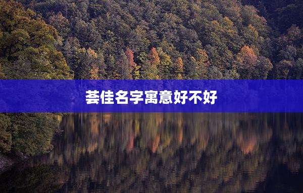 荟佳名字寓意好不好