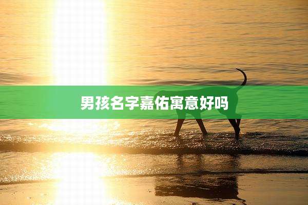 男孩名字嘉佑寓意好吗