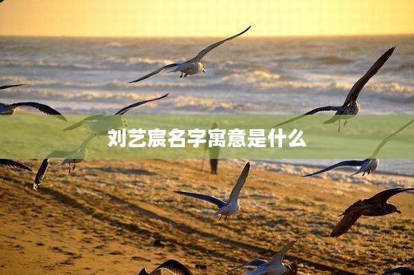 刘艺宸名字寓意是什么