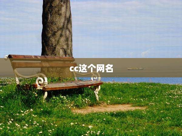 cc这个网名