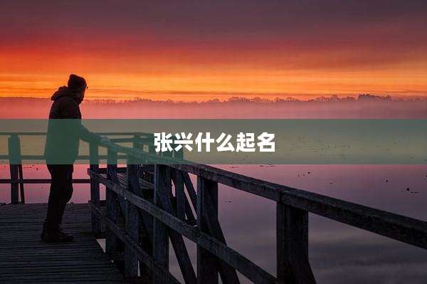 张兴什么起名