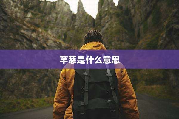 芊慈是什么意思