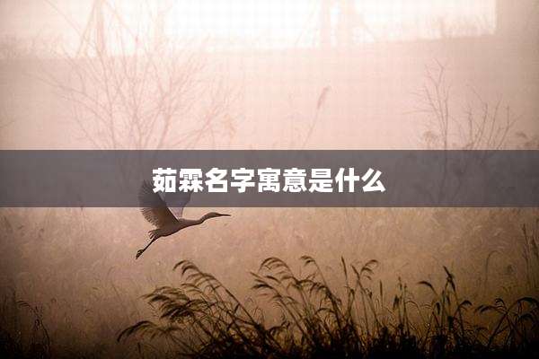 茹霖名字寓意是什么