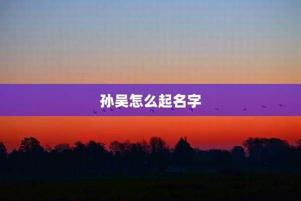 孙吴怎么起名字