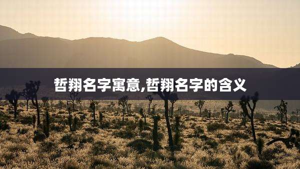 哲翔名字寓意,哲翔名字的含义