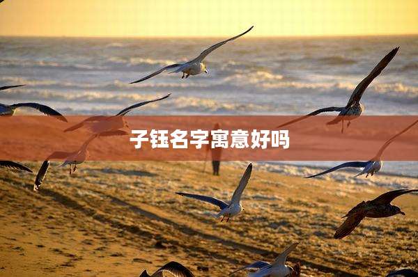 子钰名字寓意好吗