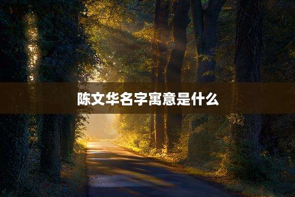 陈文华名字寓意是什么