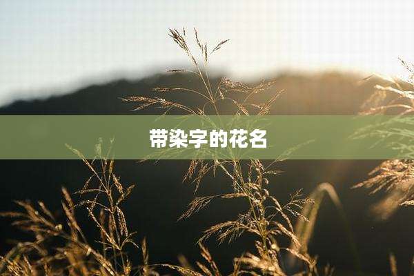 带染字的花名