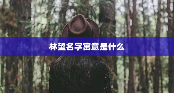 林望名字寓意是什么