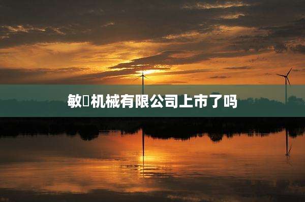 敏喆机械有限公司上市了吗