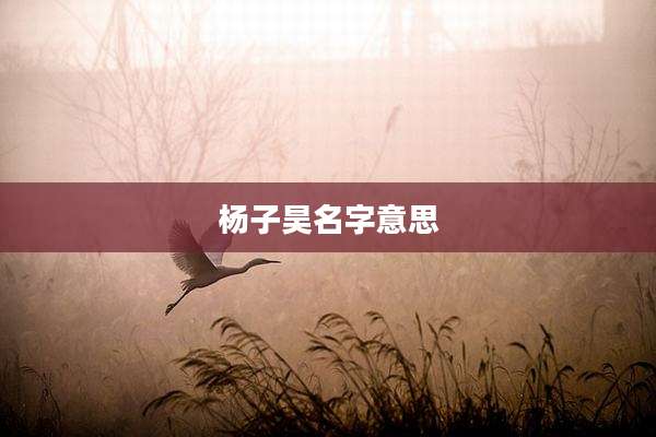 杨子昊名字意思