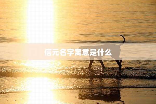 信元名字寓意是什么