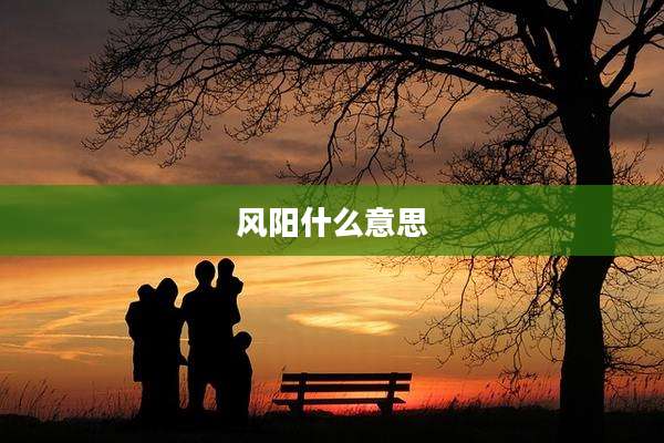 风阳什么意思
