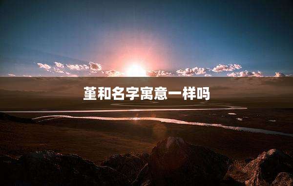 堇和名字寓意一样吗