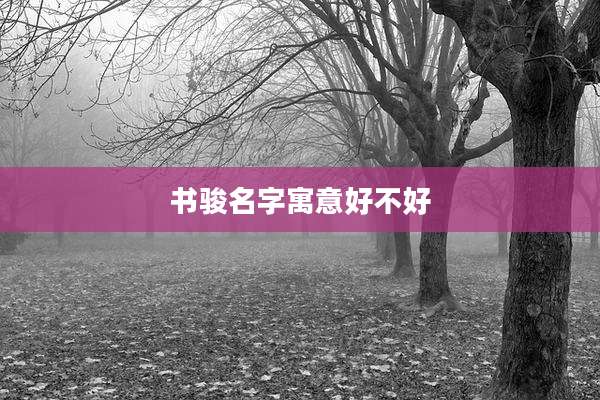 书骏名字寓意好不好