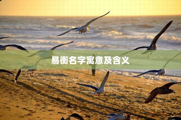 易衡名字寓意及含义