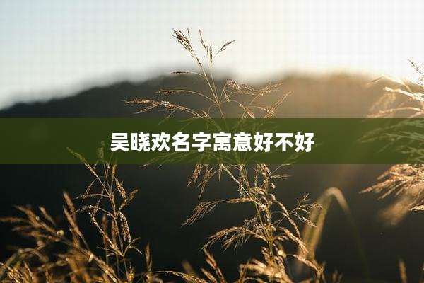 吴晓欢名字寓意好不好