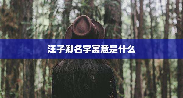 汪子卿名字寓意是什么