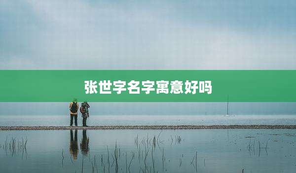 张世字名字寓意好吗