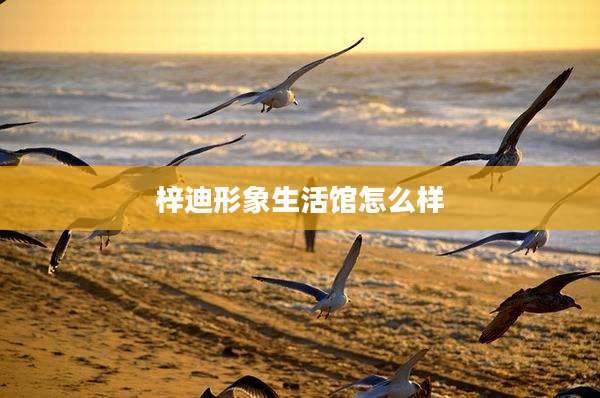 梓迪形象生活馆怎么样