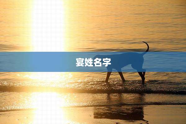 宴姓名字