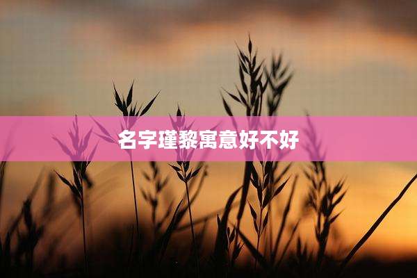 名字瑾黎寓意好不好