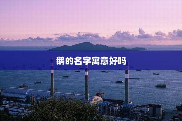 鹅的名字寓意好吗