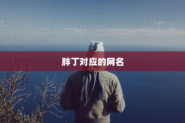 胖丁对应的网名