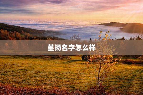 堇扬名字怎么样