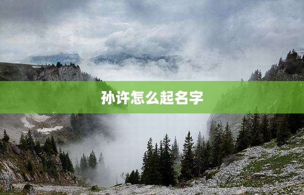 孙许怎么起名字