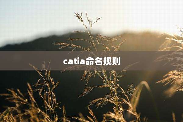 catia命名规则