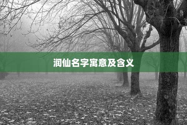 润仙名字寓意及含义