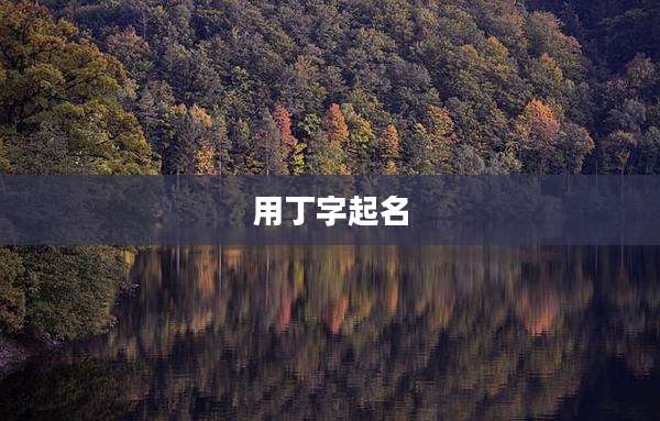 用丁字起名
